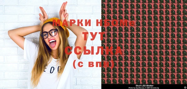 гашик Верея