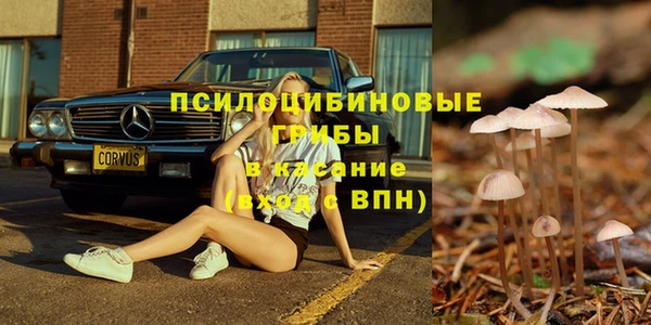 гашик Верея