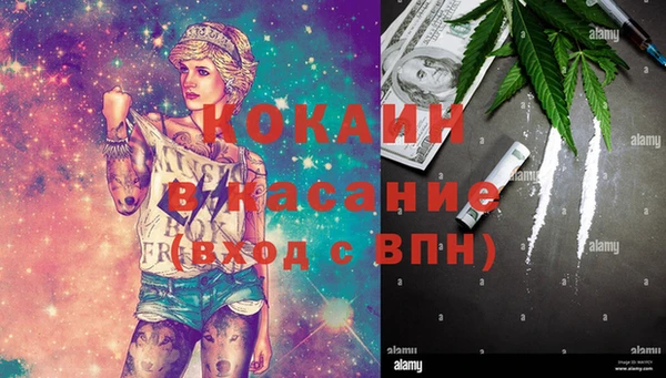 гашик Верея